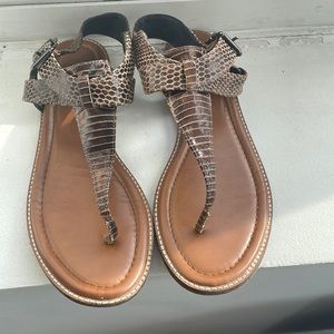 Slightly used gladiators